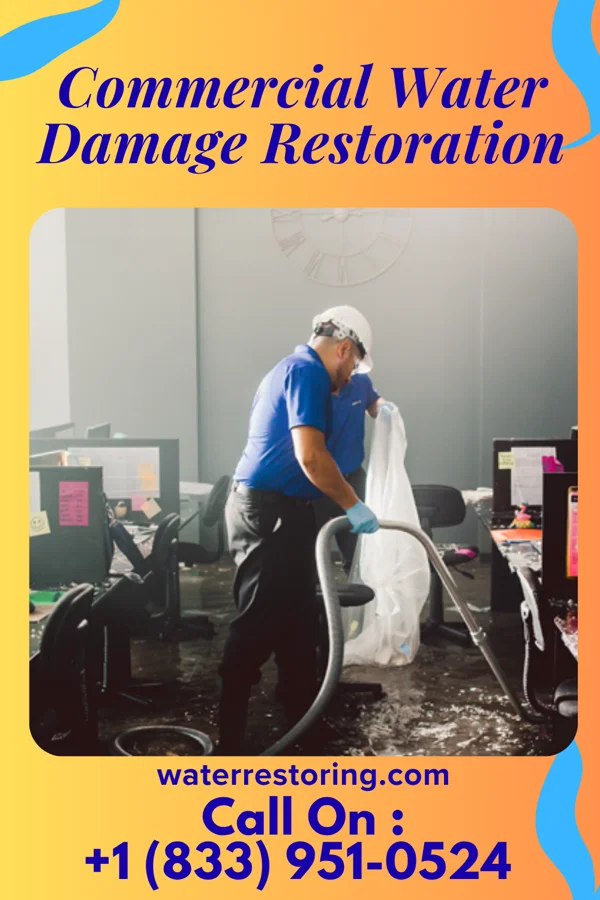 Commercial Water Damage Restoration in Sargeant, MN